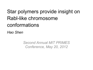 Star polymers provide insight on Rabl-like chromosome conformations Hao Shen