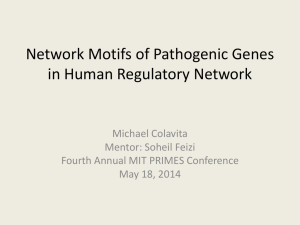 Network Motifs of Pathogenic Genes in Human Regulatory Network Michael Colavita