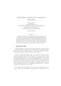 Final Report: Introduction to Quantum Computing