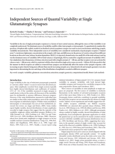 Independent Sources of Quantal Variability at Single Glutamatergic Synapses Kevin M. Franks,