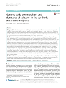 Genome-wide polymorphism and signatures of selection in the symbiotic Aiptasia sea anemone