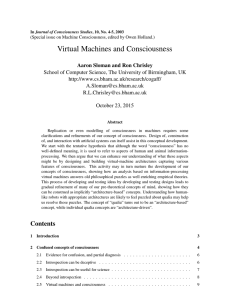 Virtual Machines and Consciousness