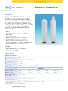 Asymmetric P-Nylon Filter Description
