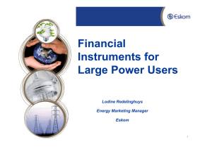 Financial Instruments for Large Power Users Lodine Redelinghuys