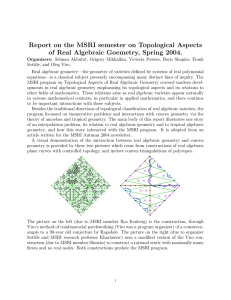 Report on the MSRI semester on Topological Aspects