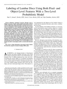 Labeling of Lumbar Discs Using Both Pixel- and Probabilistic Model