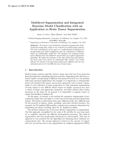 Multilevel Segmentation and Integrated Bayesian Model Classification with an