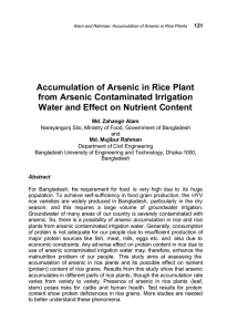 Accumulation of Arsenic in Rice Plant from Arsenic Contaminated Irrigation