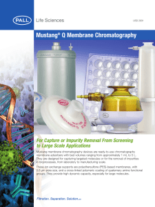 Mustang Q Membrane Chromatography For Capture or Impurity Removal From Screening