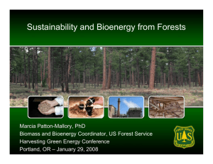 Sustainability and Bioenergy from Forests