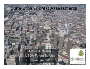 State Urban Forest Assessments David J. Nowak USDA Forest Service Syracuse, NY