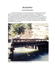 Big Wood River General Information
