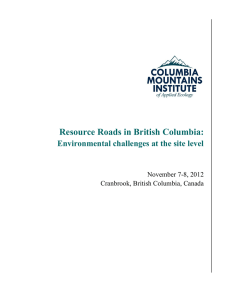 Resource Roads in British Columbia: Environmental challenges at the site level