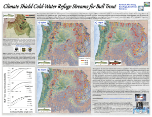 Climate Shield Cold - Water Refuge Streams for Bull Trout