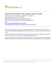 Linking Wolves and Plants: Aldo Leopold on Trophic Cascades