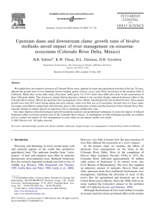 Upstream dams and downstream clams: growth rates of bivalve