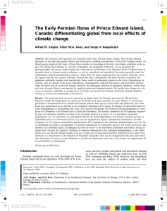 The Early Permian floras of Prince Edward Island,