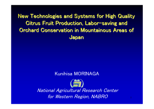 New Technologies and Systems for High Quality Citrus Fruit Production, Labor -