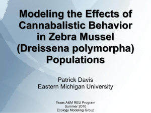 Modeling the Effects of Cannabalistic Behavior in Zebra Mussel (Dreissena polymorpha)
