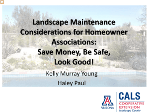 Landscape Maintenance Considerations for Homeowner Associations: Save Money, Be Safe,