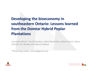 Developing the bioeconomy in  southeastern Ontario: Lessons learned  from the Domtar Hybrid Poplar  Plantations
