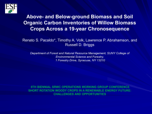 Above- and Below-ground Biomass and Soil Crops Across a 19-year Chronosequence