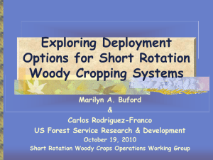 Exploring Deployment Options for Short Rotation Woody Cropping Systems Marilyn A. Buford