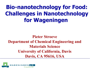Bio-nanotechnology for Food: Challenges in Nanotechnology for Wageningen