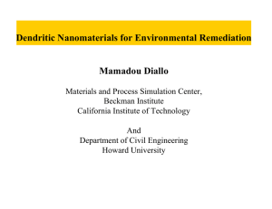 Dendritic Nanomaterials for Environmental Remediation Mamadou Diallo