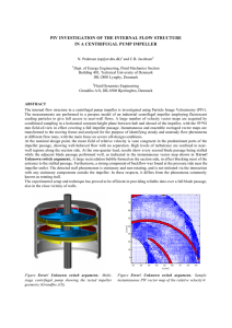 PIV INVESTIGATION OF THE INTERNAL FLOW STRUCTURE