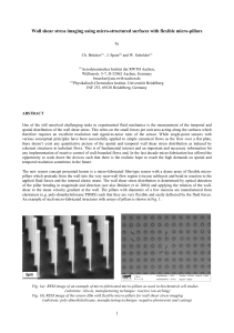 Wall shear stress imaging using micro-structured surfaces with flexible micro-pillars