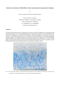 Penetrative convection in stratified fluids: velocity measurements by image analysis...
