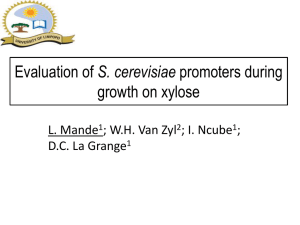 S. cerevisiae growth on xylose L. Mande ; W.H. Van Zyl