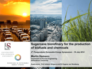Sugarcane biorefinery for the production of biofuels and chemicals Martin Hamann