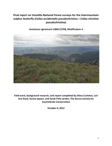 Final report on Umatilla National Forest surveys for the Intermountain