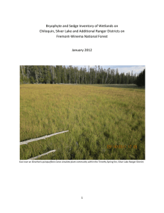 Bryophyte and Sedge Inventory of Wetlands on