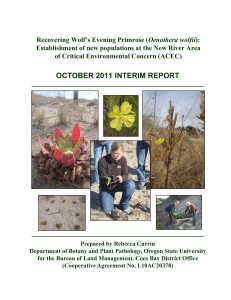 Oenothera wolfii Establishment of new populations at the New River Area