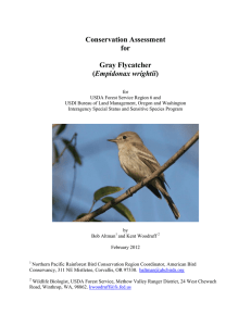 Conservation Assessment for  Gray Flycatcher