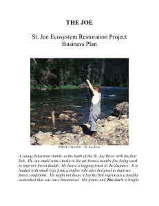 THE JOE  St. Joe Ecosystem Restoration Project Business Plan