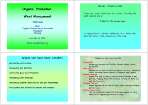 Organic  Production Organic  Production. Weed Management