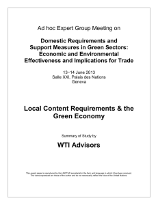 Ad hoc Expert Group Meeting on Domestic Requirements and Economic and Environmental