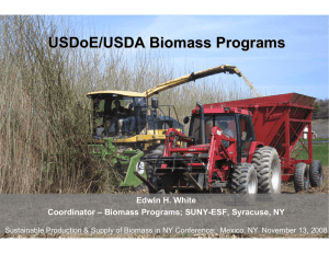 USDoE/USDA Biomass Programs Edwin H. White