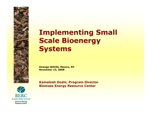 Implementing Small Scale Bioenergy Systems Kamalesh Doshi, Program Director