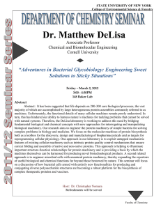 Dr. Matthew DeLisa  “Adventures in Bacterial Glycobiology: Engineering Sweet