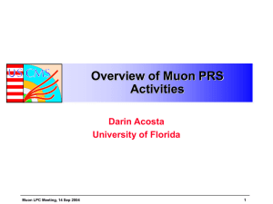 Overview of Muon PRS Activities Darin Acosta University of Florida