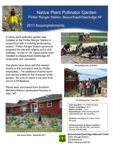 Native Plant Pollinator Garden Title text here  2011 Accomplishments