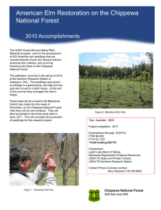 American Elm Restoration on the Chippewa Title text here National Forest 2010 Accomplishments