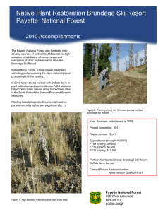 Native Plant Restoration Brundage Ski Resort Title text here 2010 Accomplishments