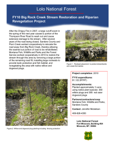 Lolo National Forest Title text here Revegetation Project