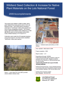 Wildland Seed Collection &amp; Increase for Native Title text here